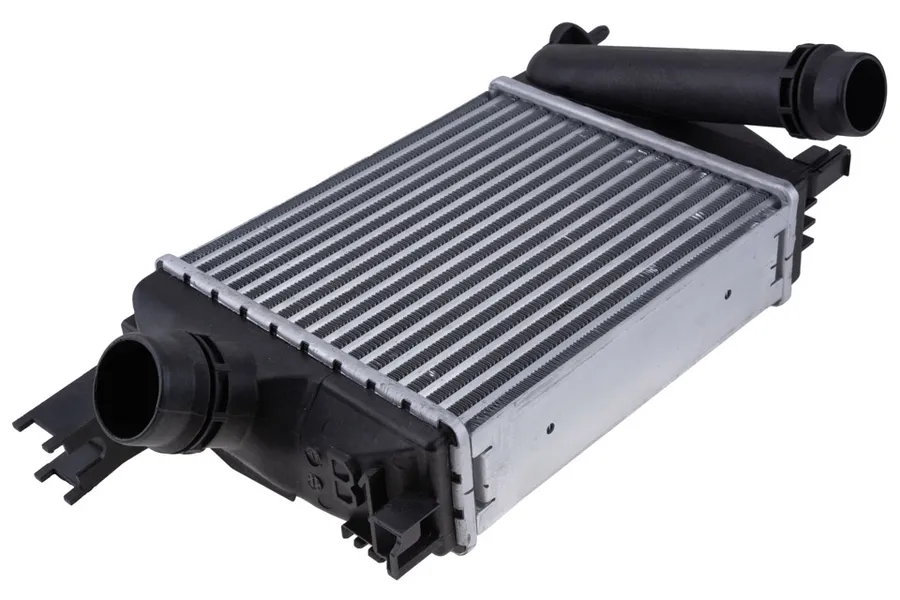Prekė atitinka OEM kodą: 144965154R