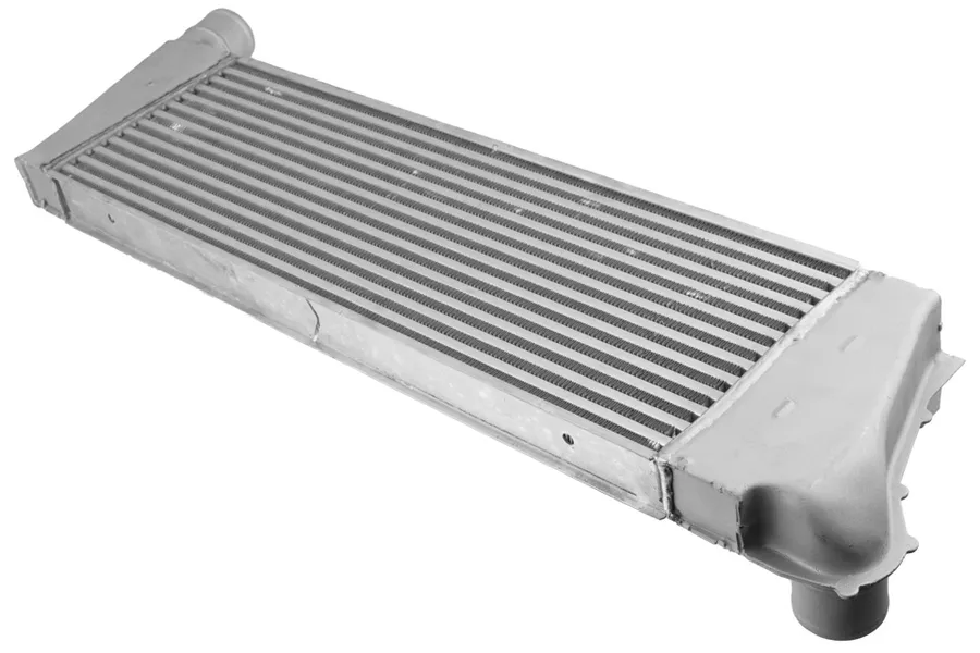 Prekė atitinka OEM kodą: 8200700172