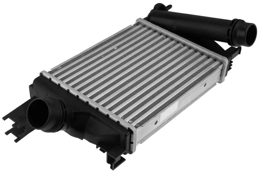 Prekė atitinka OEM kodą: 144963014R