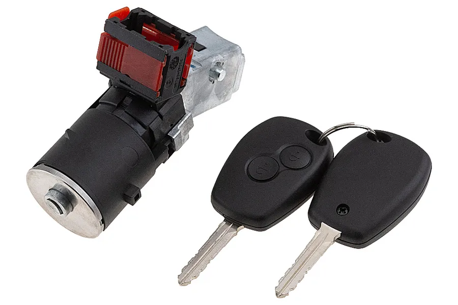 Prekė atitinka OEM kodą: 487009602R