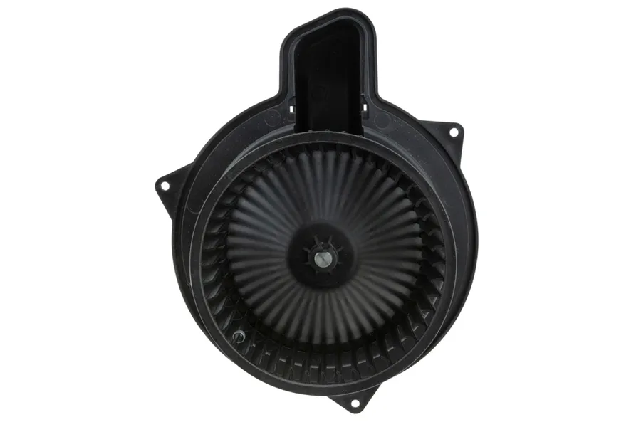Prekės atitinka OEM kodą: 77368879