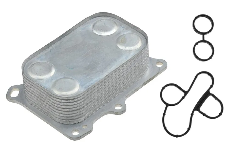 Prekė atitinka OEM kodą: 55219087